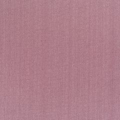 STORE BATEAU VINCE ROSE