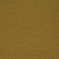 STORE BATEAU CHILL CURRY