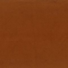 STORE BATEAU VELOURS TEXTURE STUDIO TERRE DE SIENNE