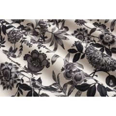 STORE BATEAU JACOBINE NOIR FOND CREME