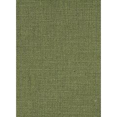 CACHE-SOMMIER CHINCHILLA COOL CLEAN PALMTREE