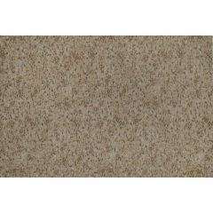 COUSSIN FELINE CHAMPAGNE