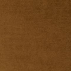 COUSSIN HEAVEN'S GATE CAMEL