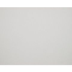 COUSSIN TAÏGA PERLE