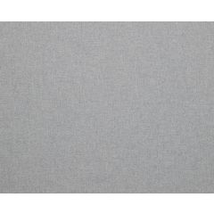 COUSSIN TAÏGA BRUME