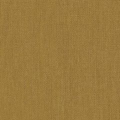 COUSSIN LIN LAVE CURRY