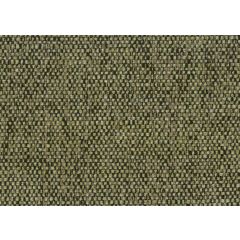 COUSSIN TOSCANE VERT ANIS