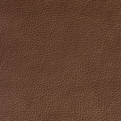 COUSSIN COLORADO ASPECT CUIR CACAO