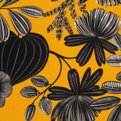 COUSSIN ORPHEE NOIR FOND OR