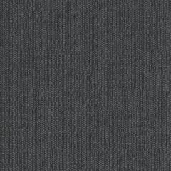 COUSSIN FRIENDS COOL CLEAN ECLIPSE