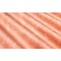 COUSSIN REGINA SALMON