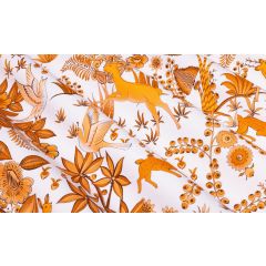 COUSSIN PARADIS ISLAND CAVAILLON