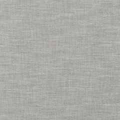 RIDEAU PURE GRIS PERLE