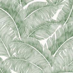 RIDEAU TOTEM VERT SAPIN FOND CREME