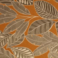 RIDEAU YUCATAN BEIGE FOND OCRE