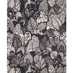 RIDEAU JOSEPHINE NOIR / CREME