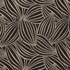 TISSU AU METRE CACAO FICELLE FOND NOIR